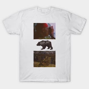 Winter Bear - V T-Shirt